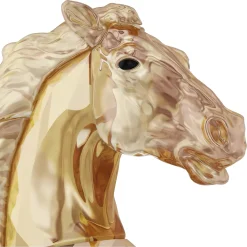 Asian Symbols Leaping Horse