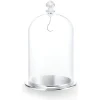 Bell Jar Display