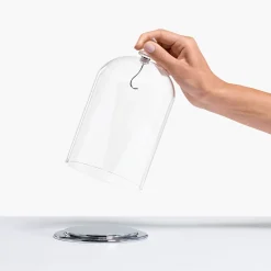 Bell Jar Display