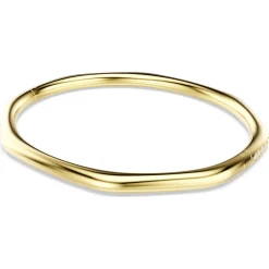Dextera bangle