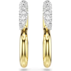 Dextera earrings