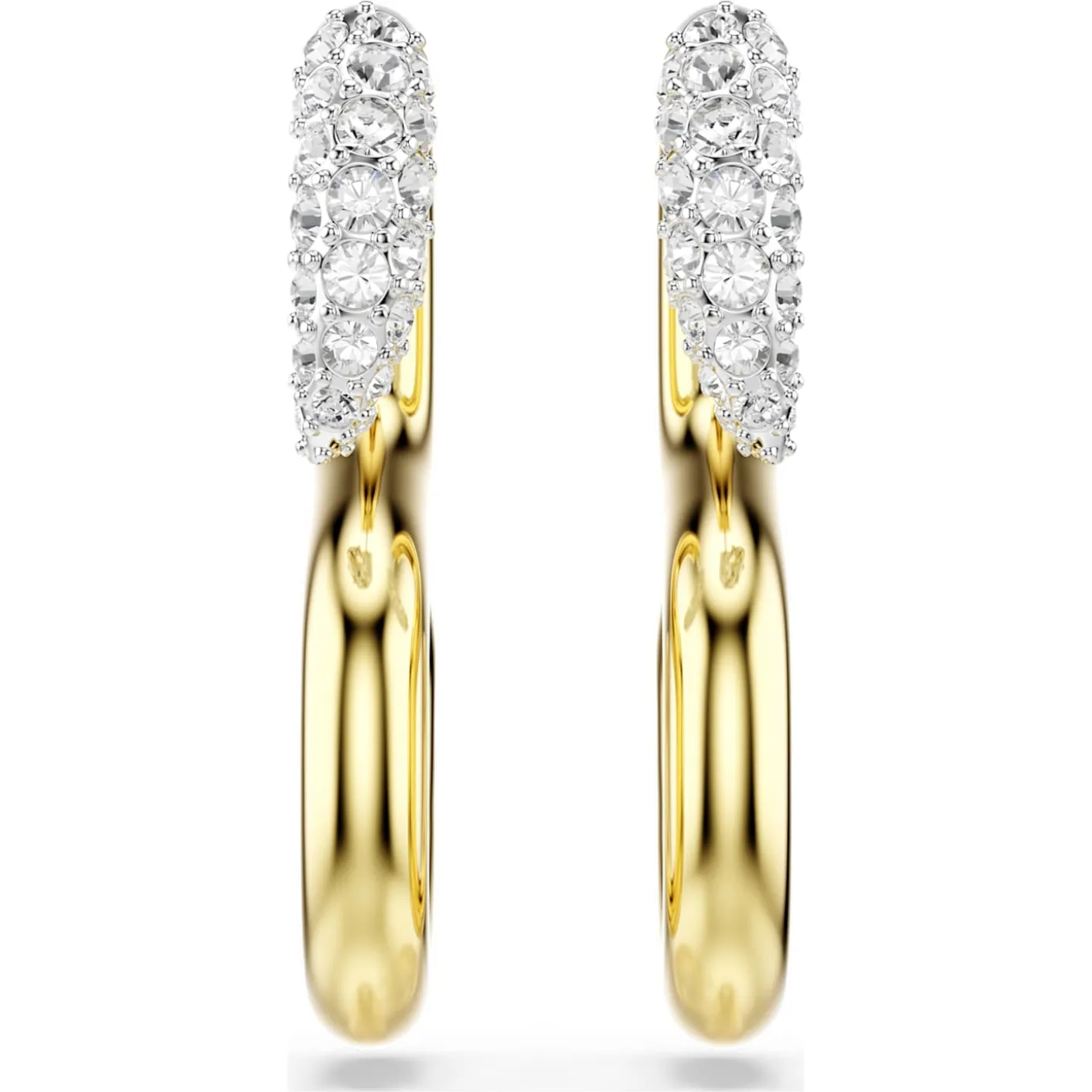 Dextera earrings