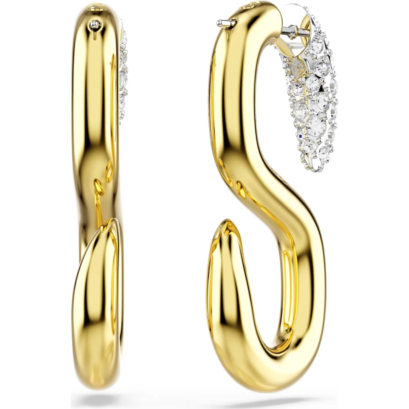 Dextera earrings