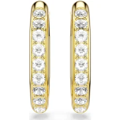 Dextera hoop earrings