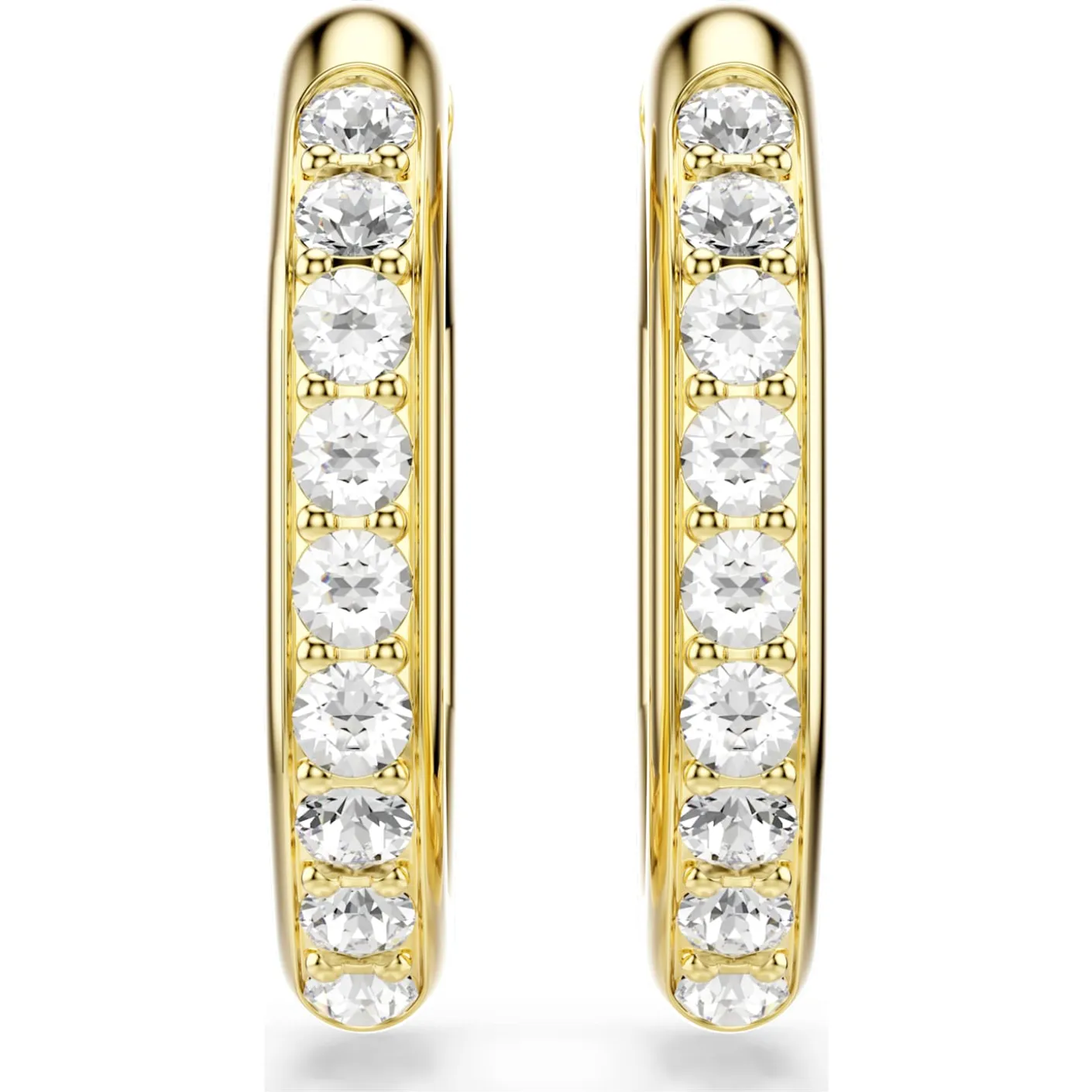 Dextera hoop earrings