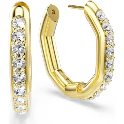 Dextera hoop earrings
