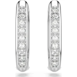 Dextera hoop earrings