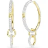 Dextera hoop earrings