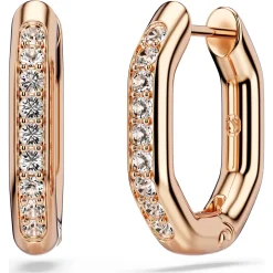 Dextera hoop earrings