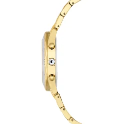 Dextera lux watch