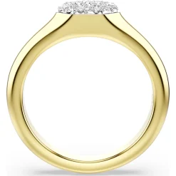 Dextera ring