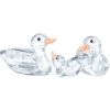Ducks