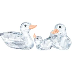 Ducks