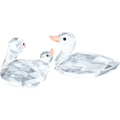 Ducks