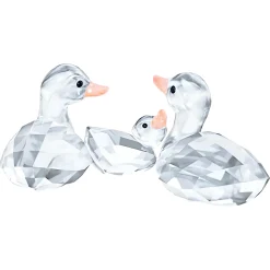 Ducks