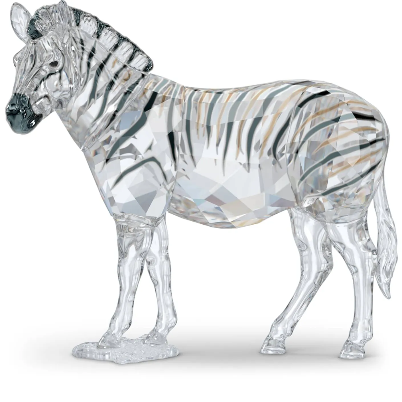 Elegance of Africa SCS Annual Edition 2021 Zebra Amai