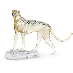Elegance of Africa SCS Annual Edition 2023 Cheetah Mehira