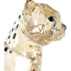 Elegance of Africa SCS Cheetah Baby Jabari