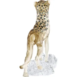 Elegance of Africa SCS Cheetah Baby Jabari
