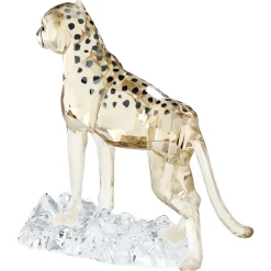 Elegance of Africa SCS Cheetah Baby Jabari
