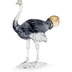 Elegance of Africa SCS Ostrich Makena