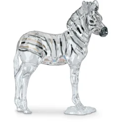 Elegance of Africa SCS Zebra Baby Zuri