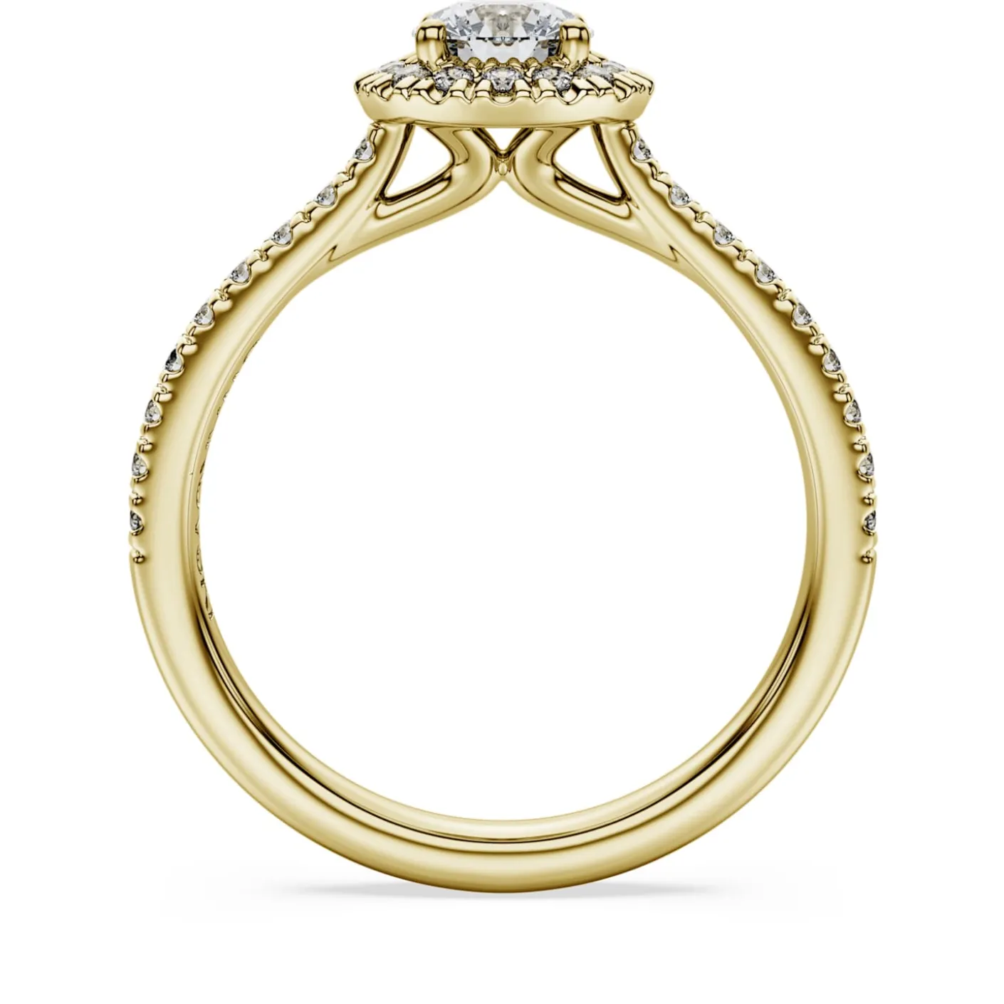 Eternity halo solitaire ring