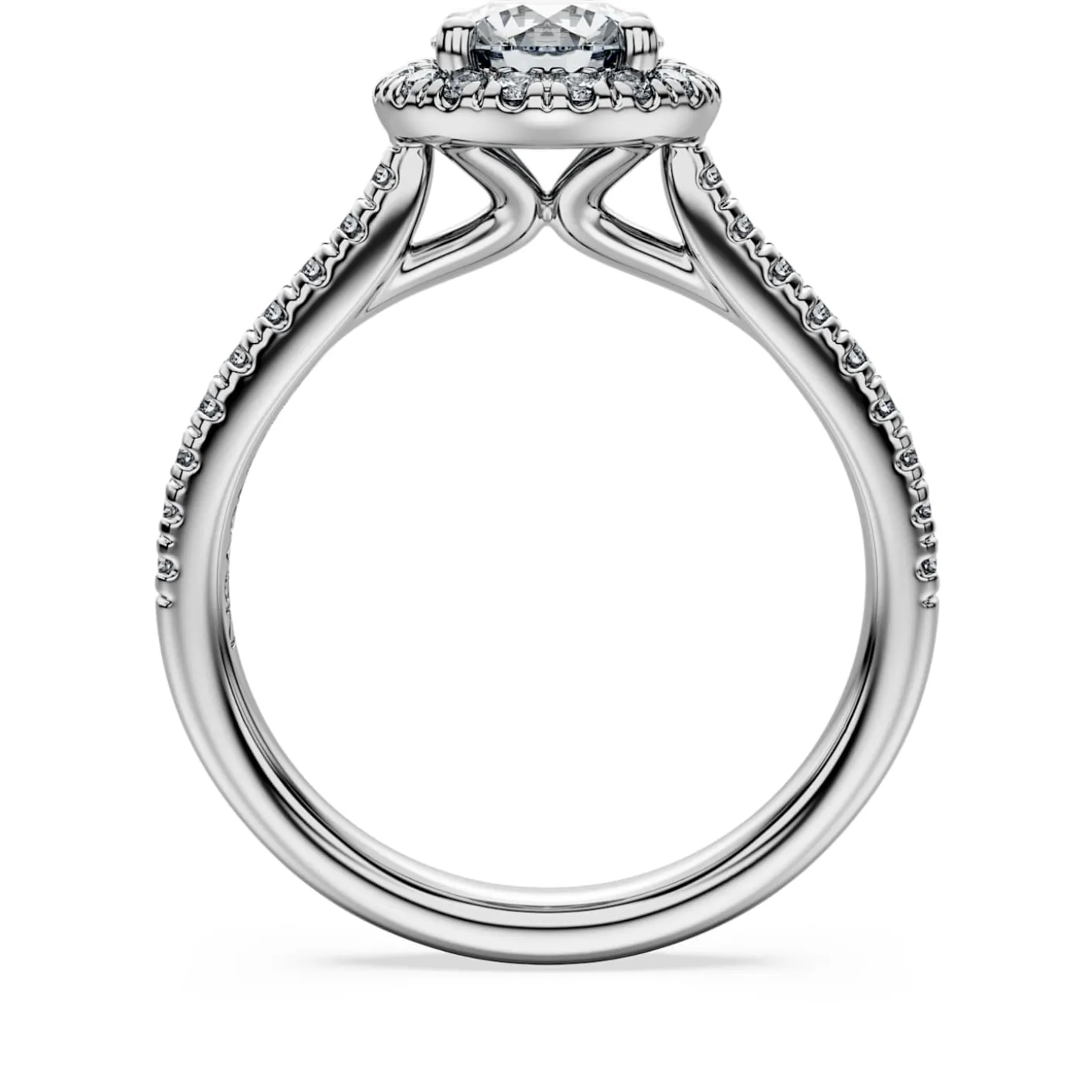 Eternity halo solitaire ring