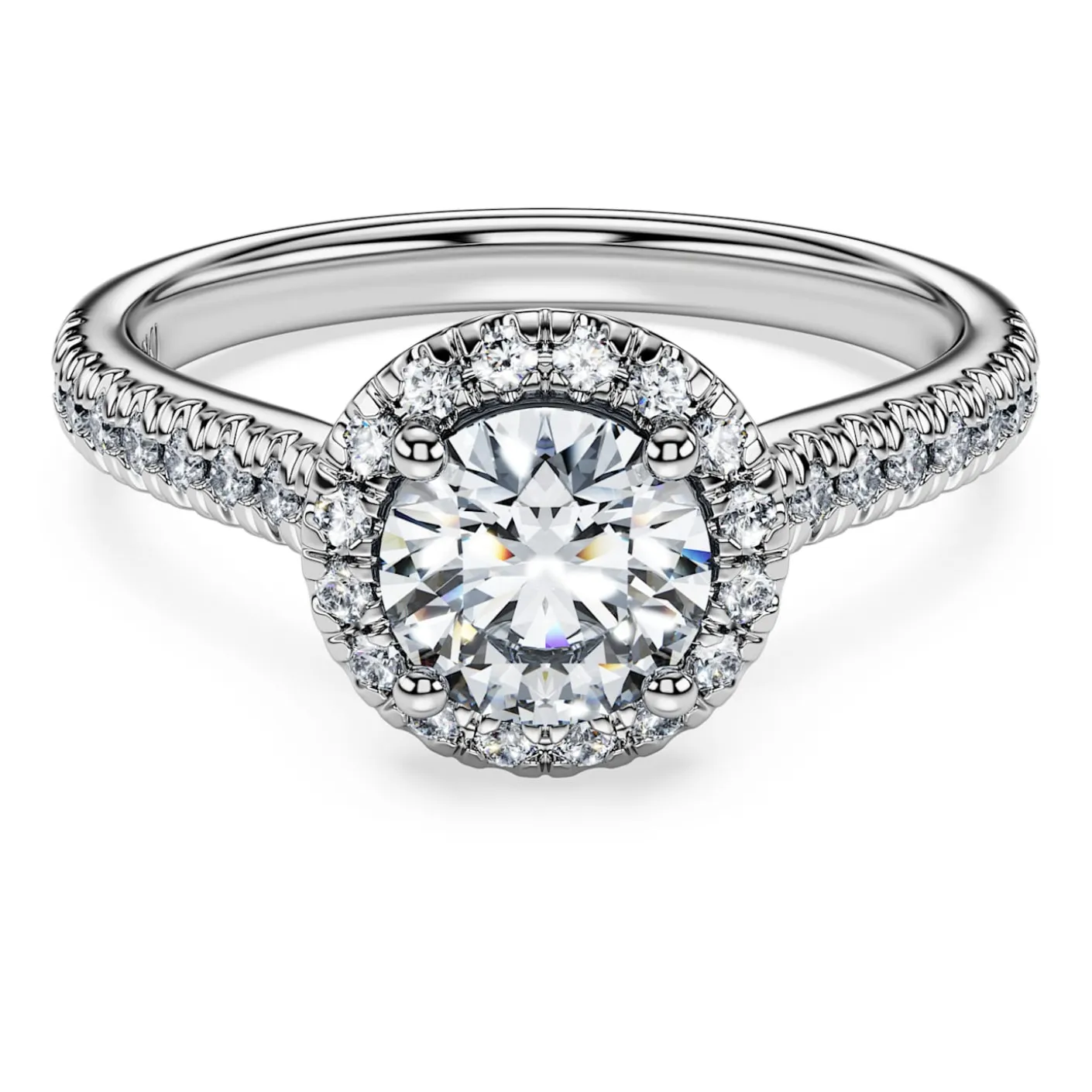 Eternity halo solitaire ring
