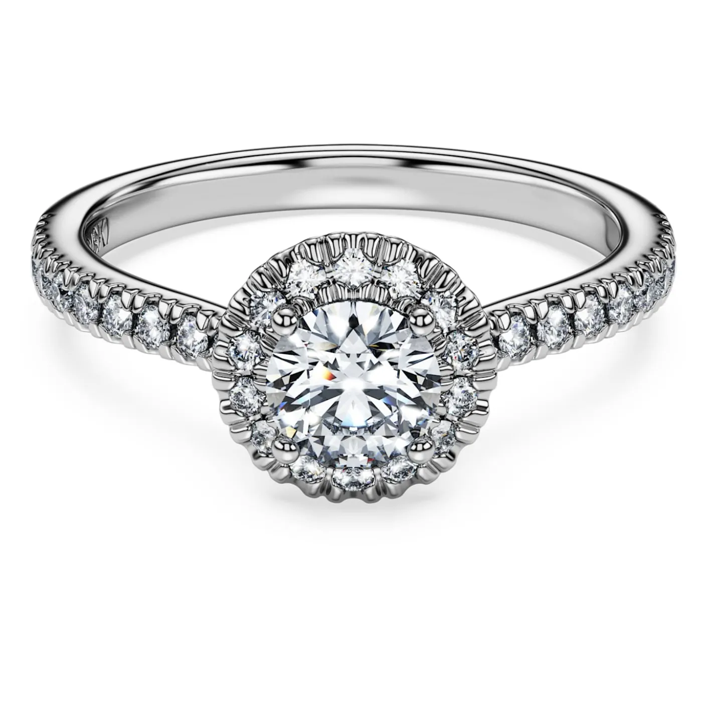 Eternity halo solitaire ring