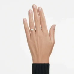 Eternity solitaire ring