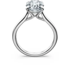 Eternity solitaire ring