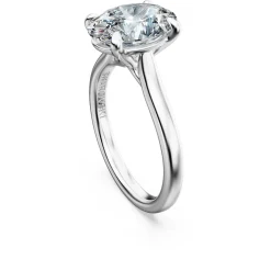 Eternity solitaire ring
