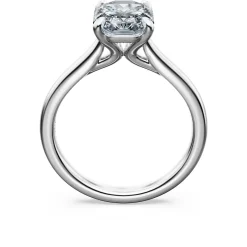 Eternity solitaire ring
