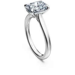 Eternity solitaire ring