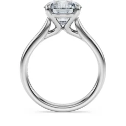 Eternity solitaire ring