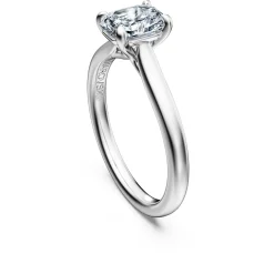 Eternity solitaire ring