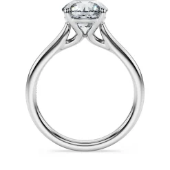 Eternity solitaire ring
