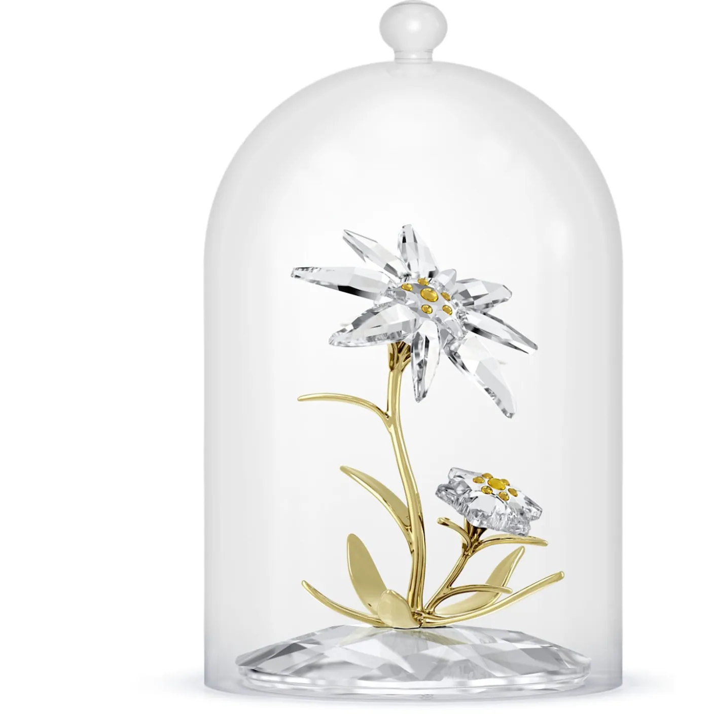 Florere 130th Anniversary Bell Jar