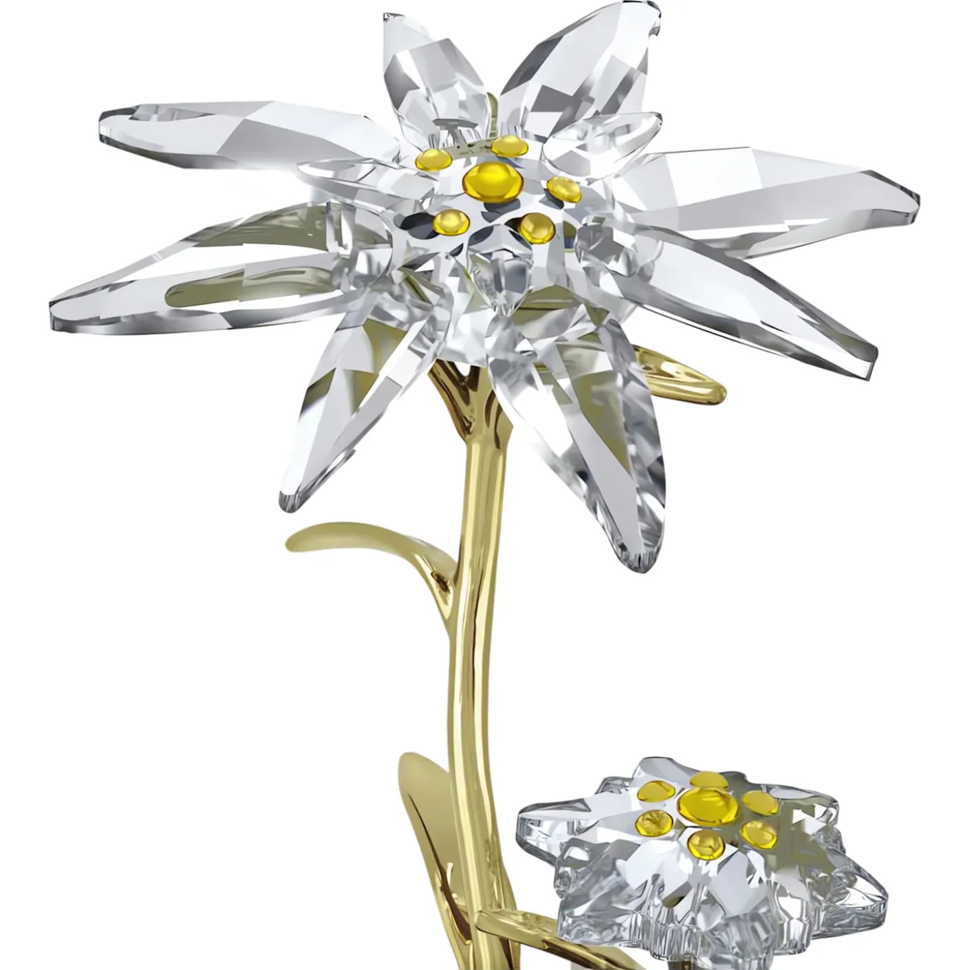 Florere 130th Anniversary Bell Jar