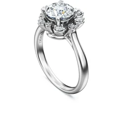Galaxy ring