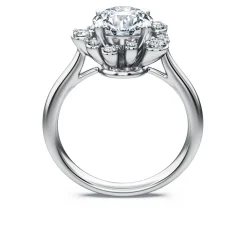 Galaxy ring