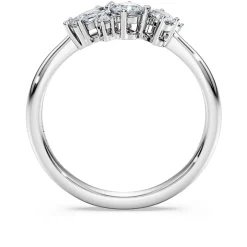 Galaxy ring