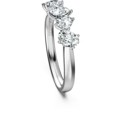 Galaxy ring