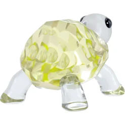 Idyllia Baby Tortoise