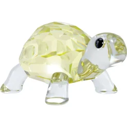 Idyllia Baby Tortoise