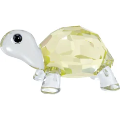 Idyllia Baby Tortoise