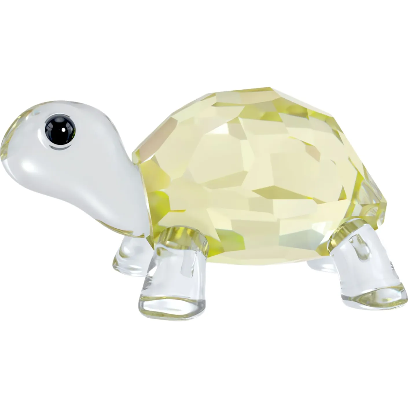 Idyllia Baby Tortoise