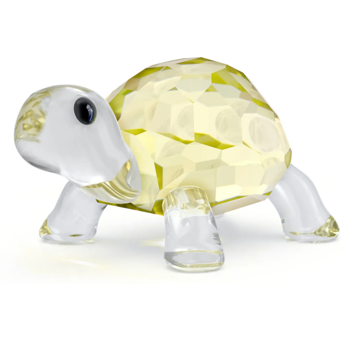 Idyllia Baby Tortoise