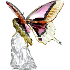 Idyllia Butterfly